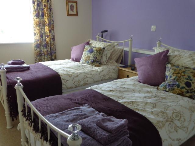 Lodge House B&B Buckland St Mary Room photo